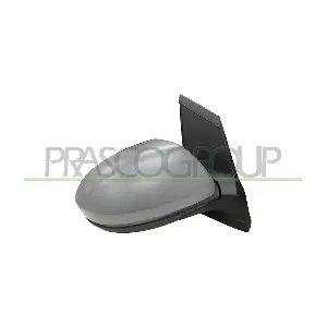 MZ3097213P PRASCO