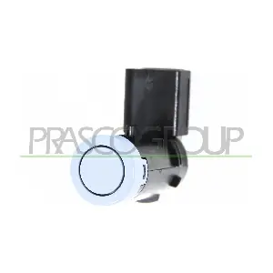VG0222902 PRASCO