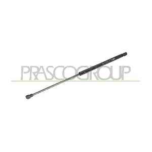 FT1229055 PRASCO