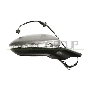 VG4007317P PRASCO