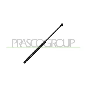 BM0249005 PRASCO