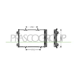 CI305C003 PRASCO