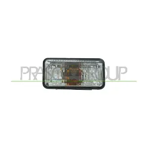 VG0794143 PRASCO