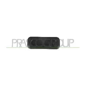 PG4248950 PRASCO