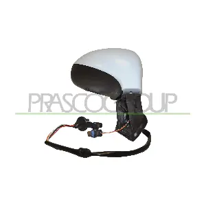 PG4247313P PRASCO