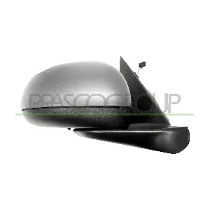 FT0407303P PRASCO
