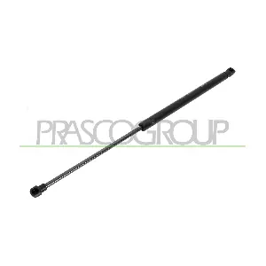 PRASCO VG0329055