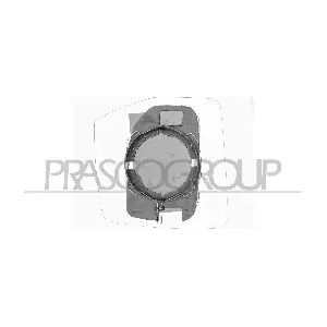 FT9217524 PRASCO
