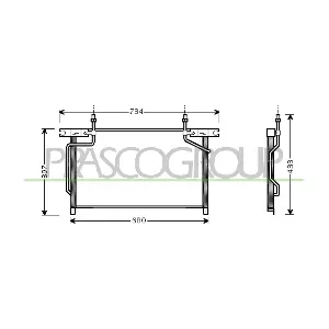 DS273C002 PRASCO