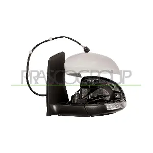 VG1017314 PRASCO