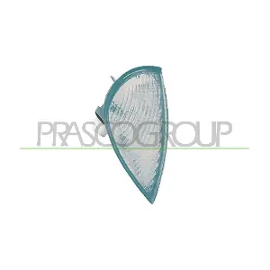 FT0194013 PRASCO