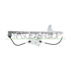 PG424W024 PRASCO