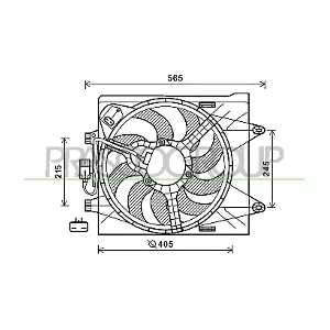 FT124F004 PRASCO