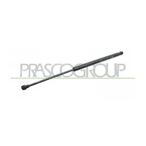 PG3269055 PRASCO