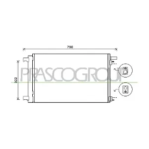 PG424C005 PRASCO