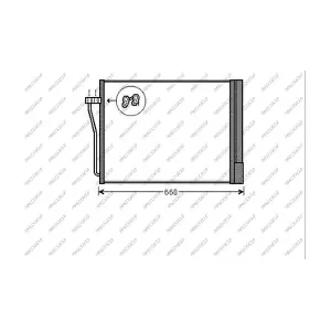 BM101C002 PRASCO
