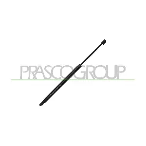 FD6029055 PRASCO