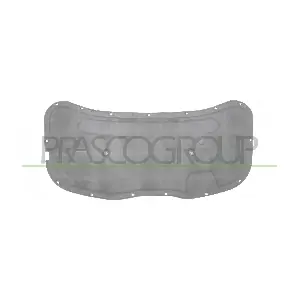 VG0211945 PRASCO