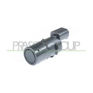PG4202901 PRASCO