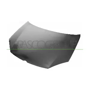 VG5203100 PRASCO