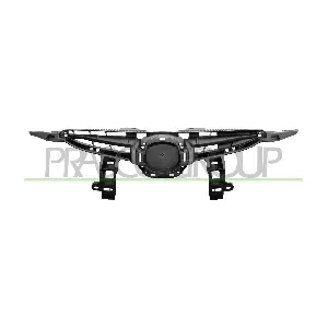 MZ3092011 PRASCO