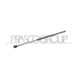 FT0409055 PRASCO