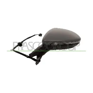 VG4007316 PRASCO