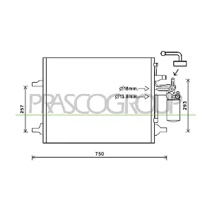 VV046C003 PRASCO