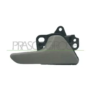 VG9528407 PRASCO