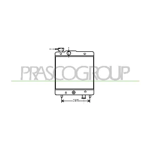 FT119R001 PRASCO