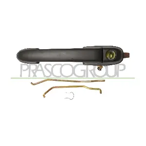 FT1378001 PRASCO