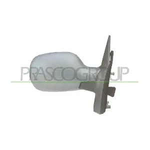 RN0317323 PRASCO