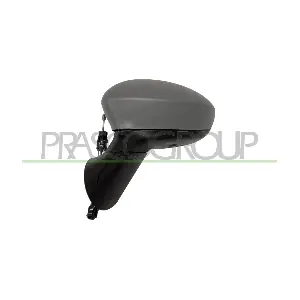 FT0307104 PRASCO