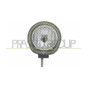 PRASCO FT1224433