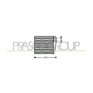 VG055H001 PRASCO