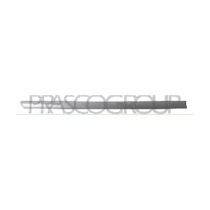 VG0341463 PRASCO