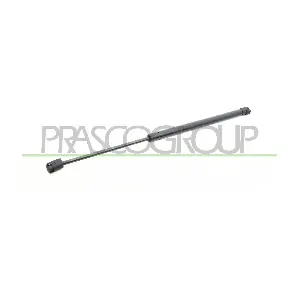 MN3049055 PRASCO