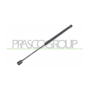 FD0069055 PRASCO