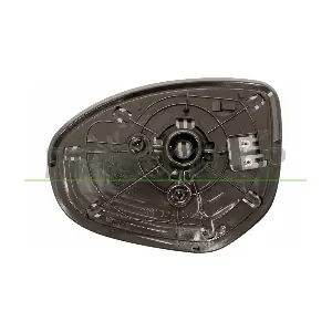 MZ3307513 PRASCO