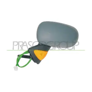 RN3087324 PRASCO