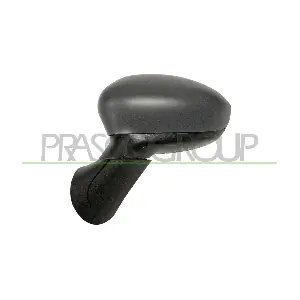FT0307126P PRASCO