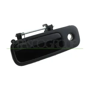 VG9178301 PRASCO