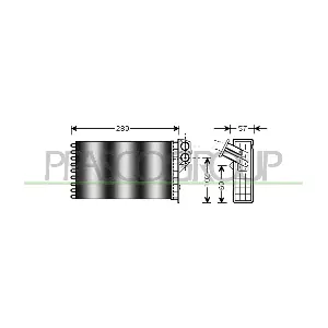 PG420H001 PRASCO