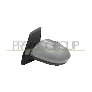 MZ3097214P PRASCO
