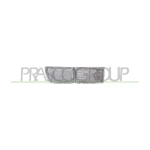 VG0324313 PRASCO