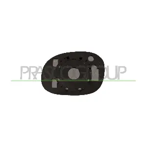 PRASCO CI3047503