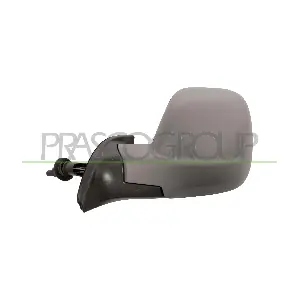 PG9107114 PRASCO