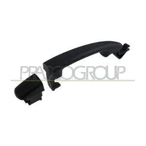 PG7208003 PRASCO