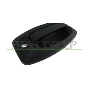 FT9308002 PRASCO