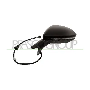 VG4007312P PRASCO